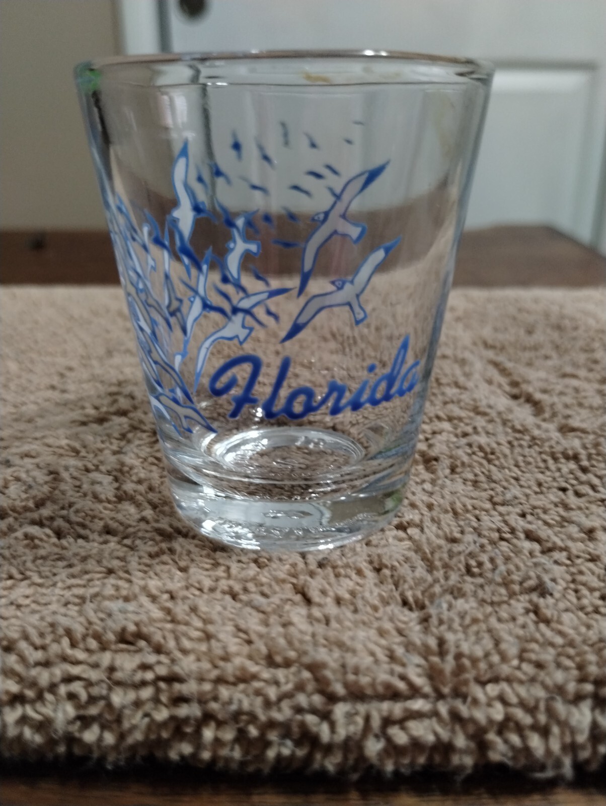 Shot Glass Souvenir Florida Seagulls FREE SHIPPING