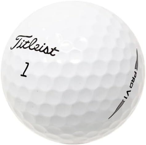 48 Titleist Pro V1 2019 Mint Quality Used Golf Balls AAAAA *FREE SHIP*