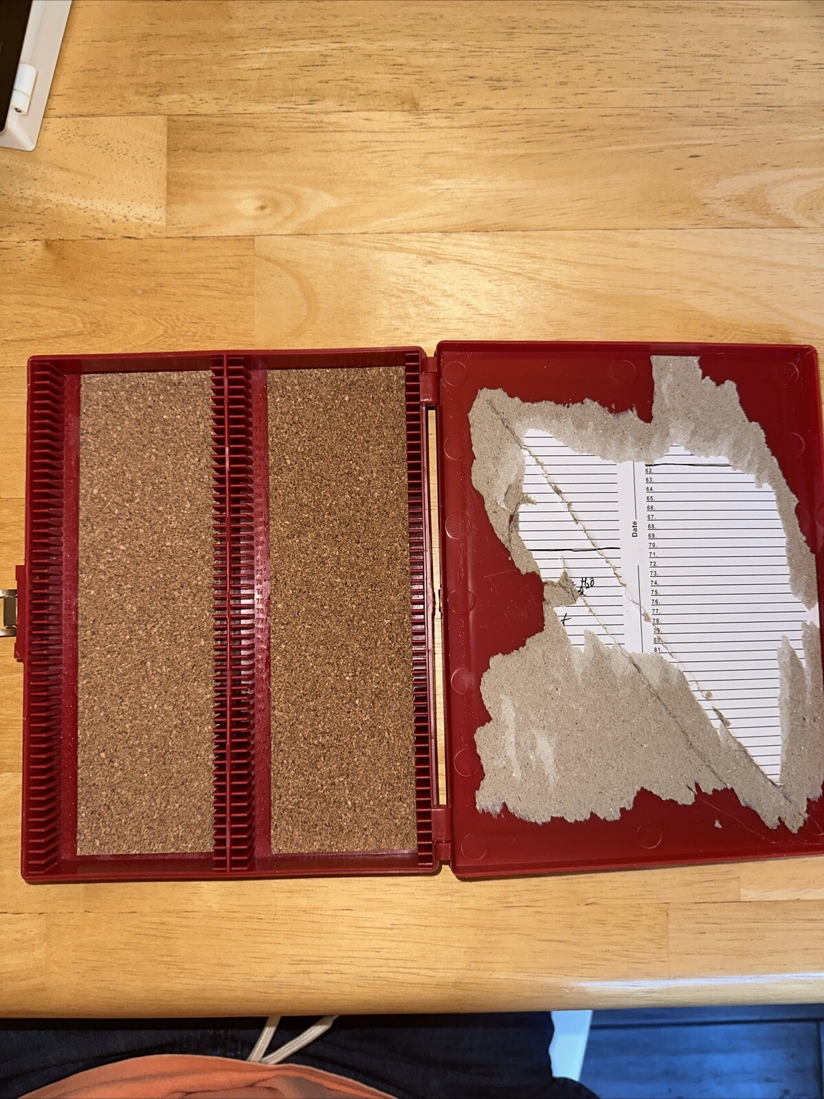 100-Place Red Slide Storage Box with Cork Lining Microscope Slide Holder for Lab