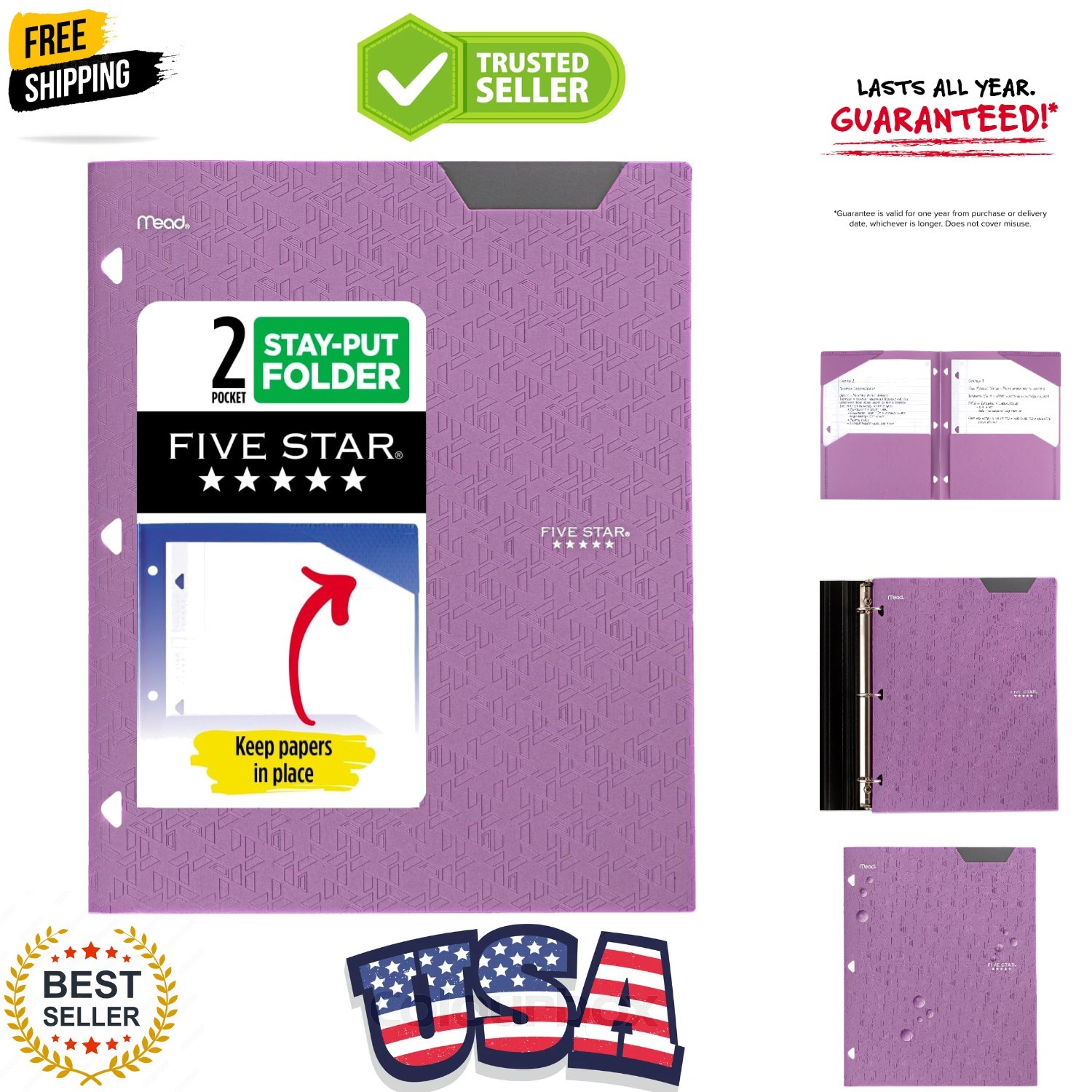 2-Pocket Folder, Plastic Folder with Stay-Put Tabs, Fits 3-Ring Binder, Holds...