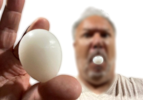 EGGS FROM MOUTH PRODUCTION Out of Magic Trick Appearing Solid Comedy Set Plastic