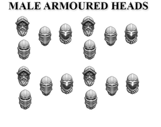 FIREFORGE FORGOTTEN WORLD FWSRAC07 STONE REALM MALE ARMOURED HEADS