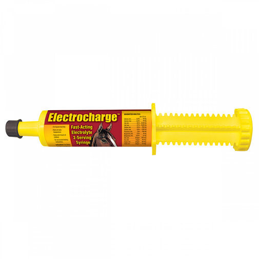 Electrocharge for Horses