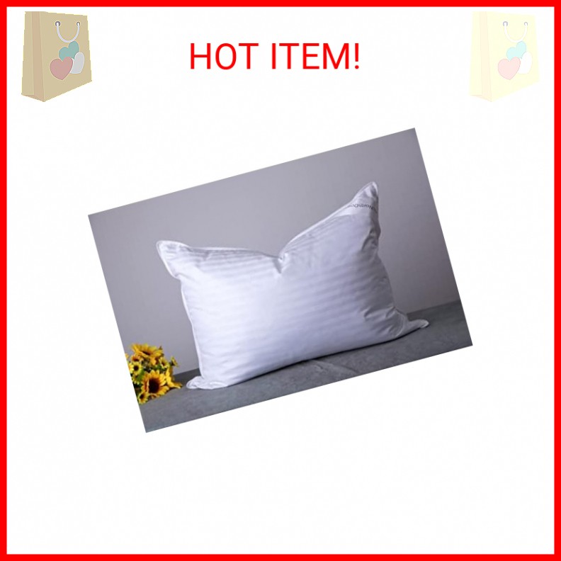 ArcticNorthDown Standard Goose Down Feather Hotel Collection Bed Pillows for Sle