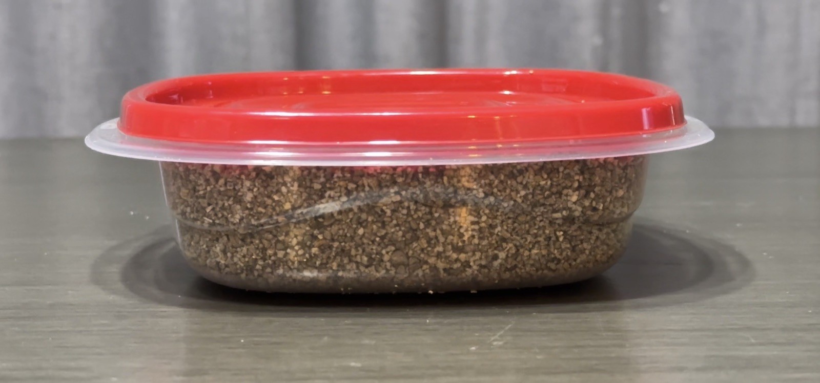 1.5 PINT Mushroom Grow Kit FLAT CAKE 1 Jar Pre-Sterilized BRF PF Tek EASY TO USE