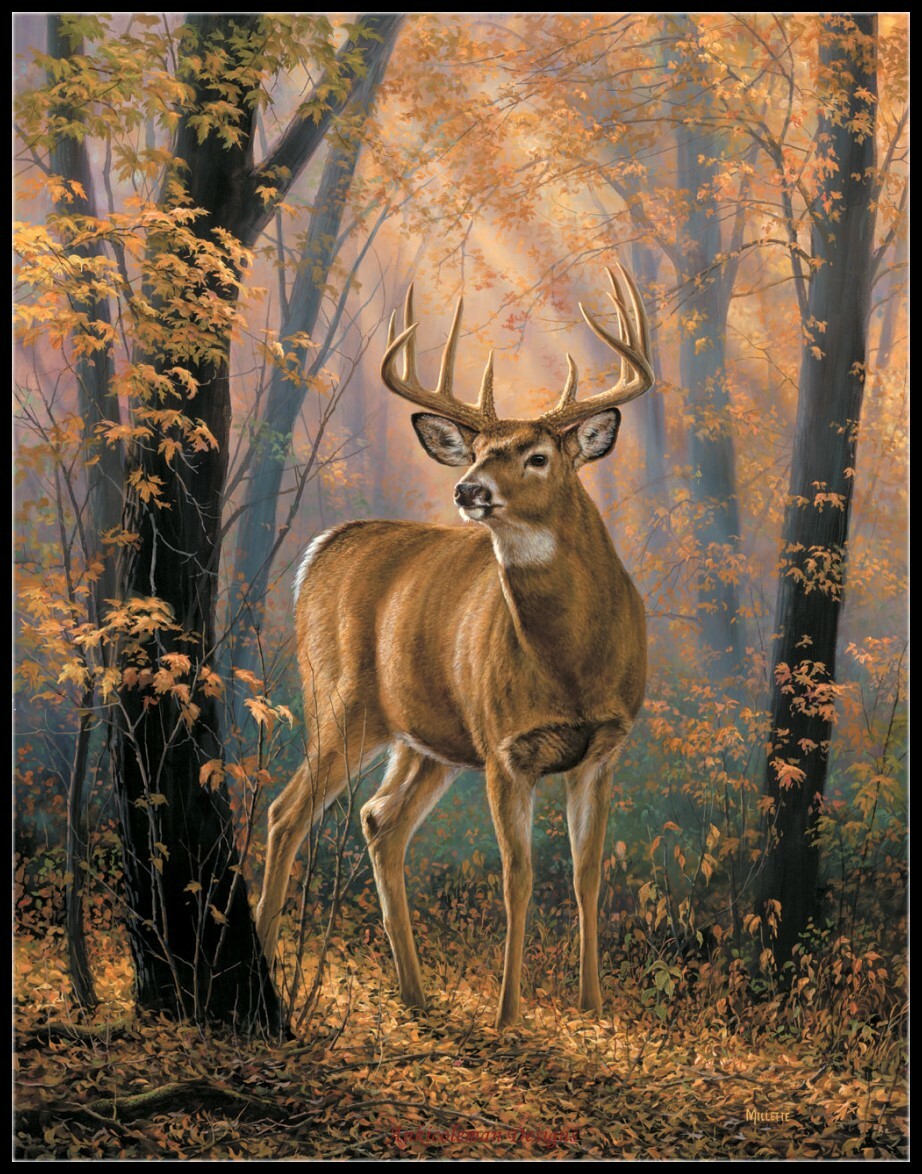 Forest Deer - Counted Cross Stitch Patterns - Color & BW Symbols Charts