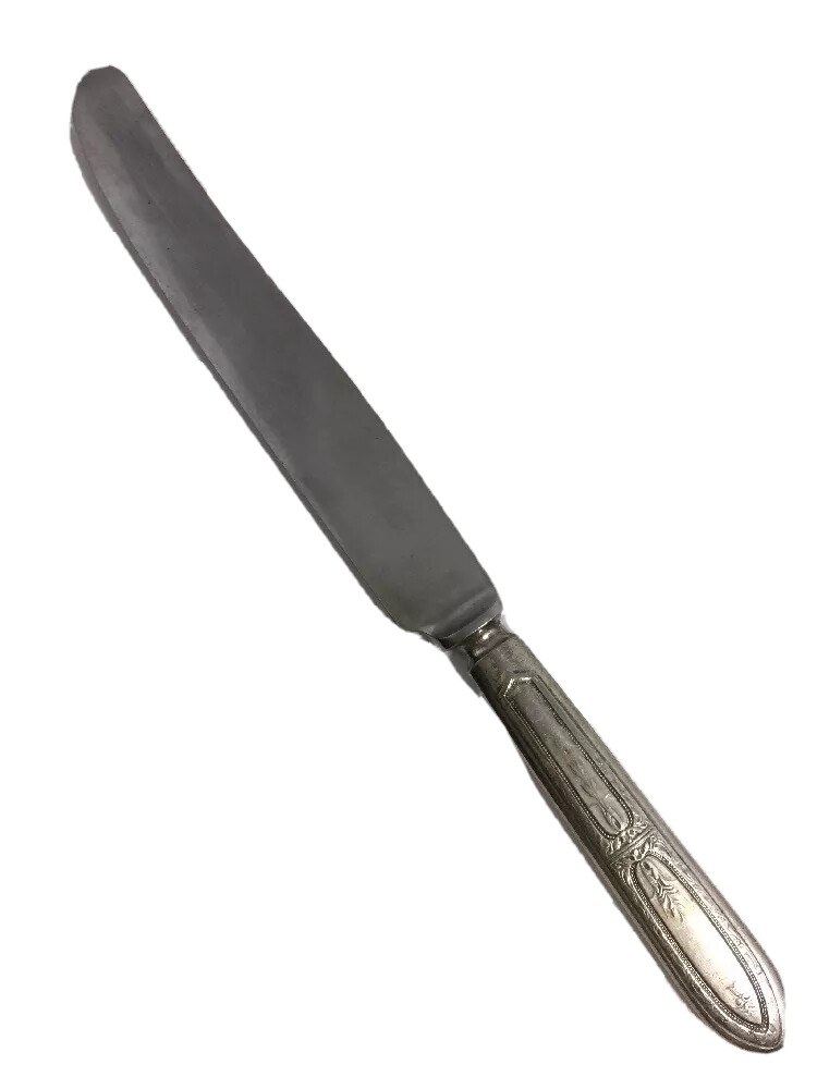 1881 Rogers Stainless Steel Dinner Knife Replacement 9 3/8" Long