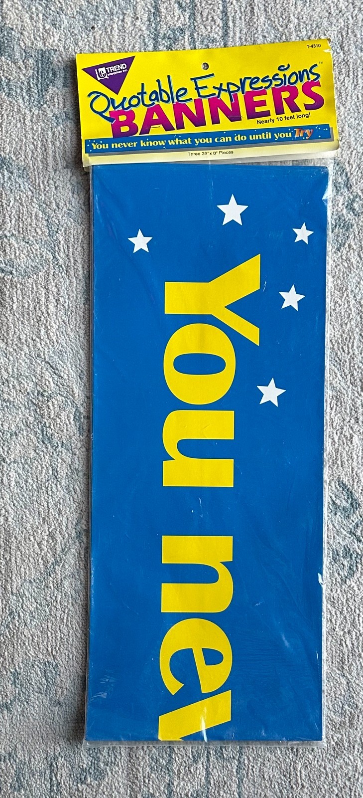 VTG 1994 Trend Enterprises Quotable Expressions Banner ‘You Never Know...'  10'