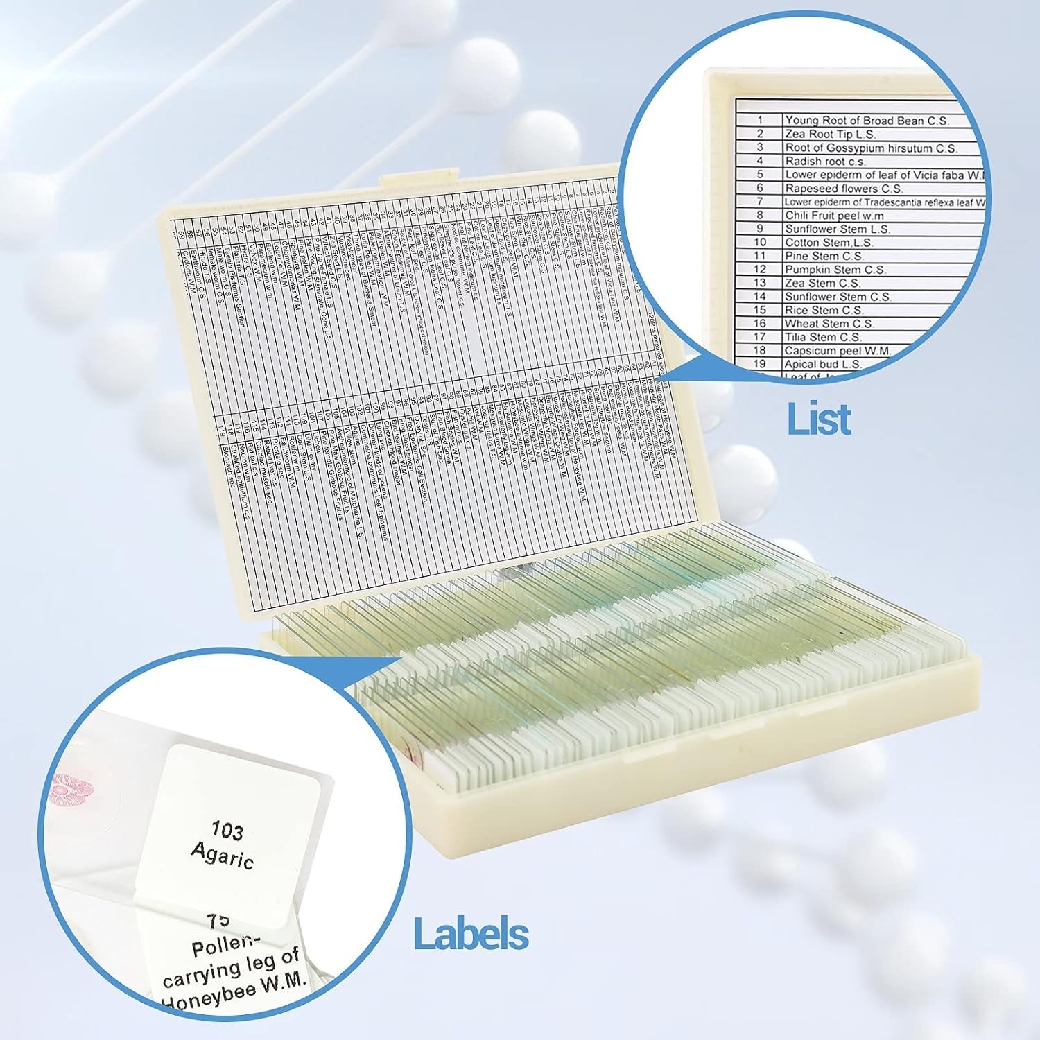 Microscope Slides with Plants and Animals