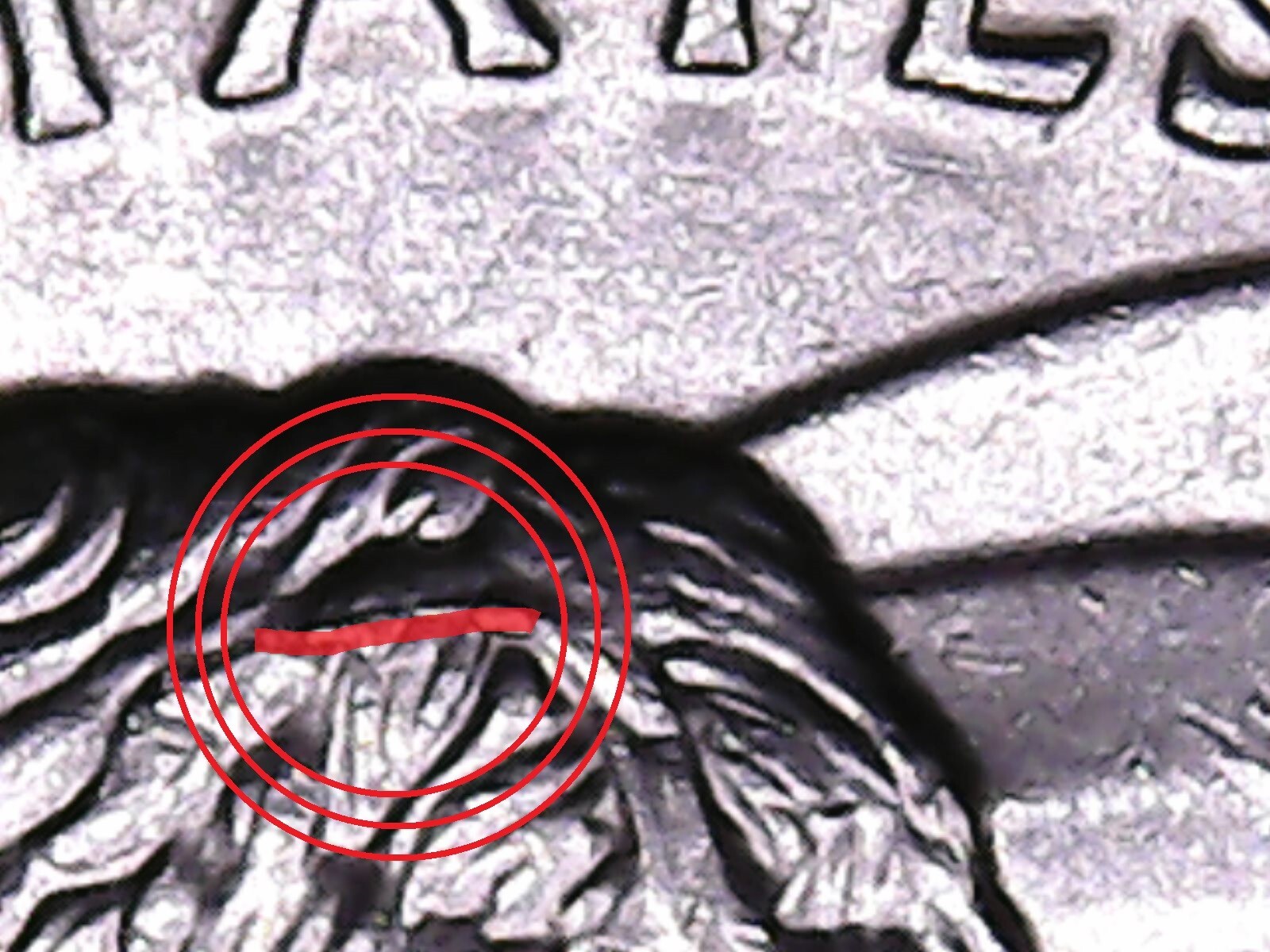 2022 P  Amer. Women Sally Ride Quarter Hair Pin + Drooling George + FF Scrapes.