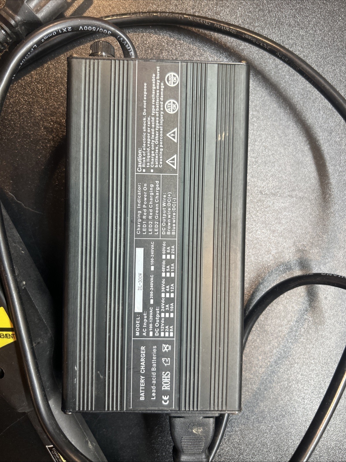 DL-300W Golf Cart Battery Charger 48 Volt