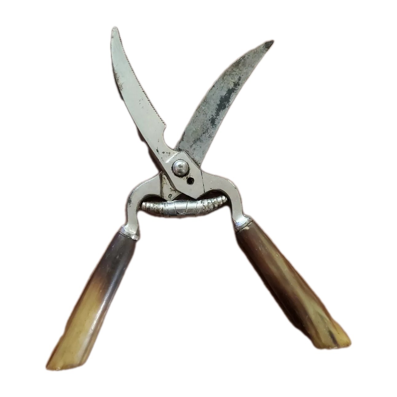 Poultry Shears by F. Koeller & Co. Germany - Solingen