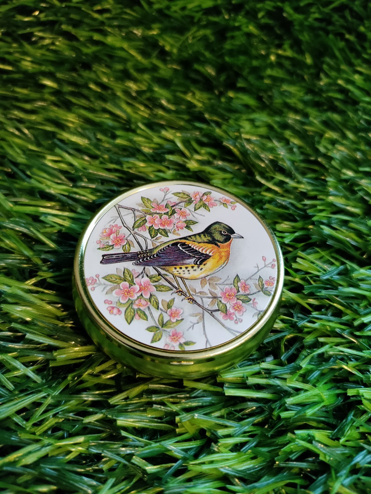 Whimsical Crowned Bird Pill box Container for Pills, Candy, Vitamin, Jewelry