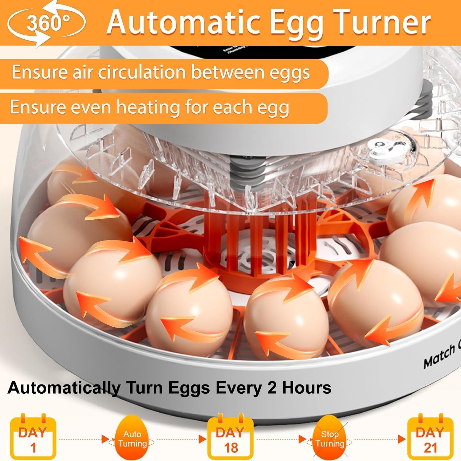 12 Egg Incubator for Hatching Eggs with Automatic Egg Turning, Temperature & ...