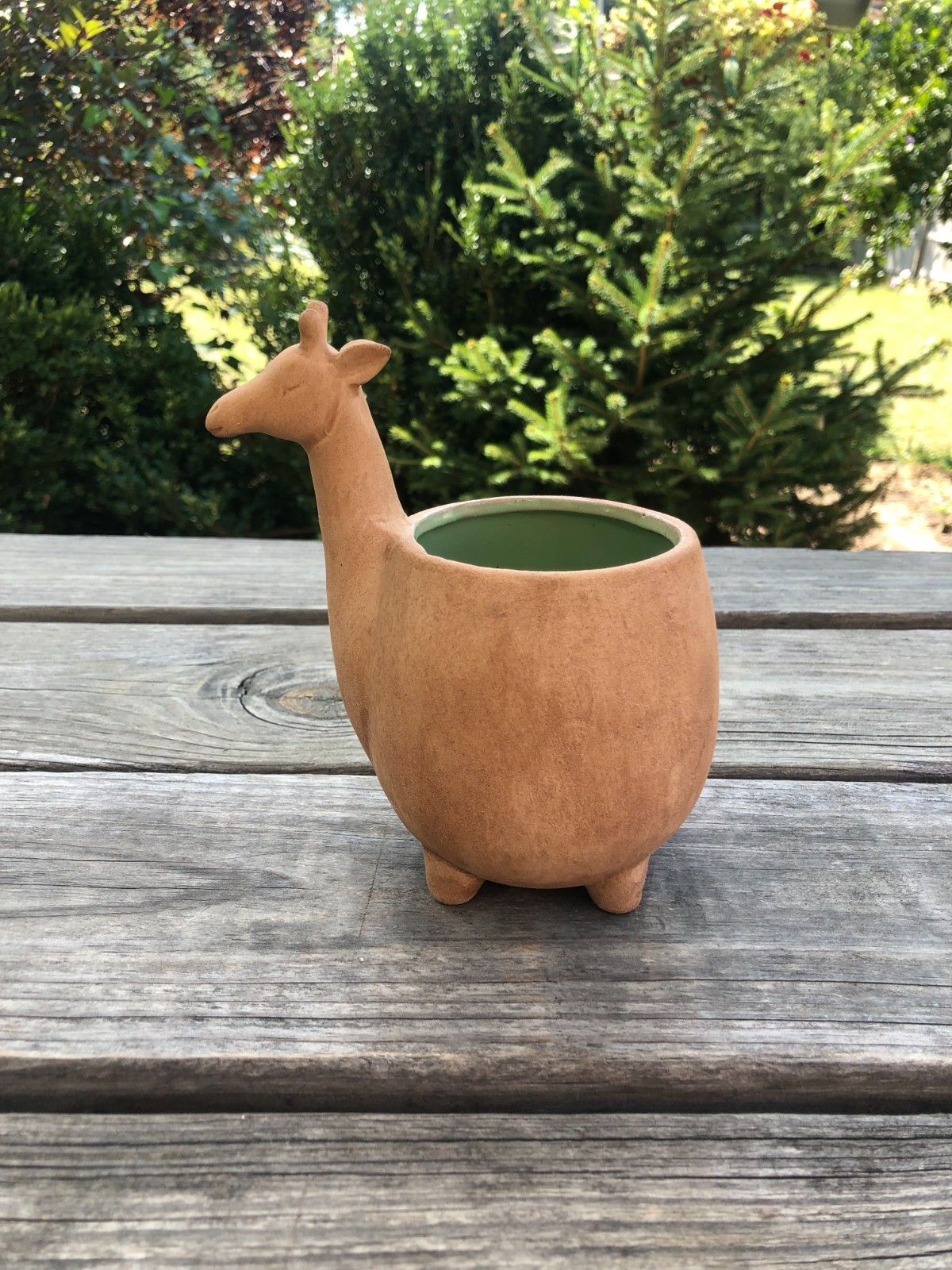 Giraffe Planter Brown Succulent Clean About 5.25"Wx6.25"H