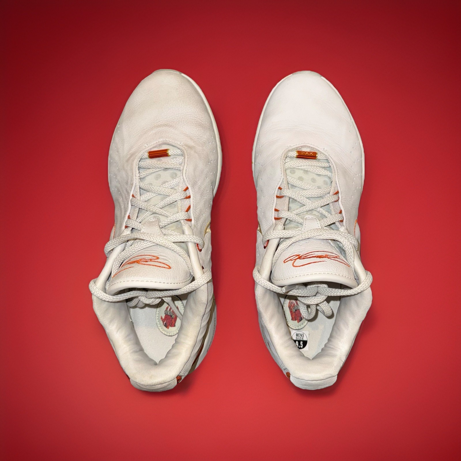 Nike LeBron 21 Akoya Light Bone Size 9.5