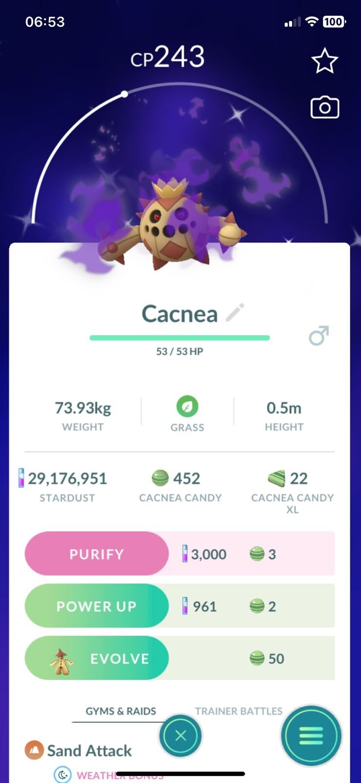 SHINY PURIFIED! ✨ CACNEA!!! ✨ - PKMN GO!!! - NON REGISTERED!