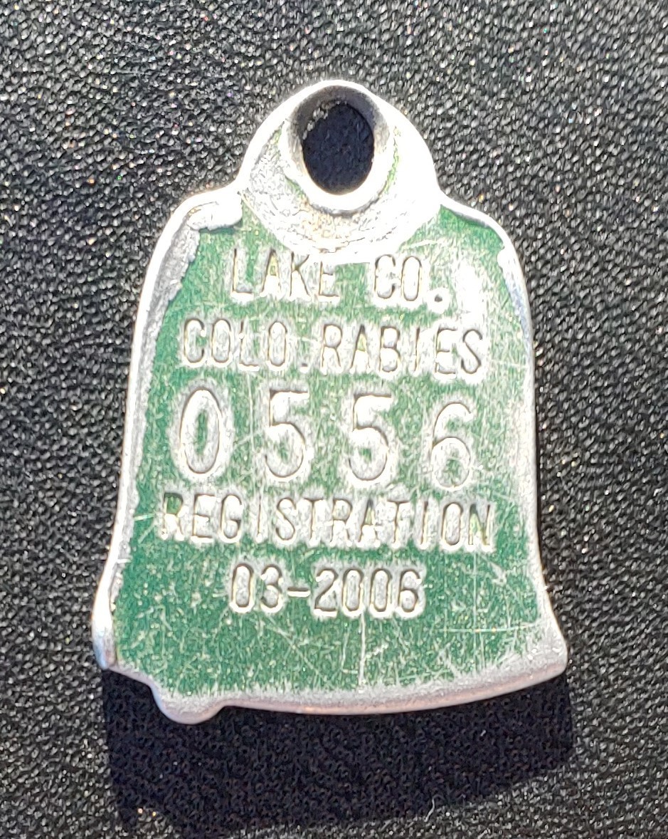 2006 Leadville Colorado Lake County Dog License Rabies Tag Aluminum Green Bell