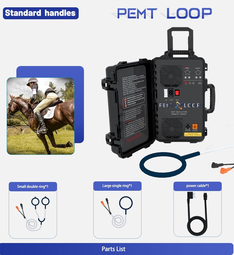 PMST Loop PEMF Pulsed Eletromagnetic Feild Sport Injury Pain Therapy Machine