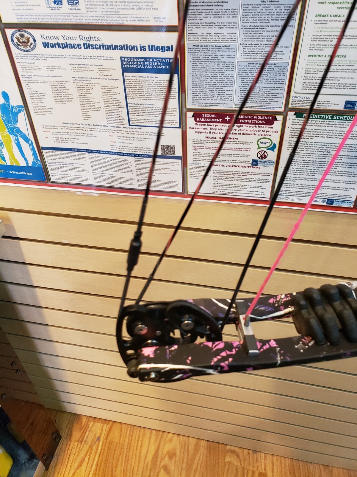 Winchester Compound Bow (pink) 60-70 lb