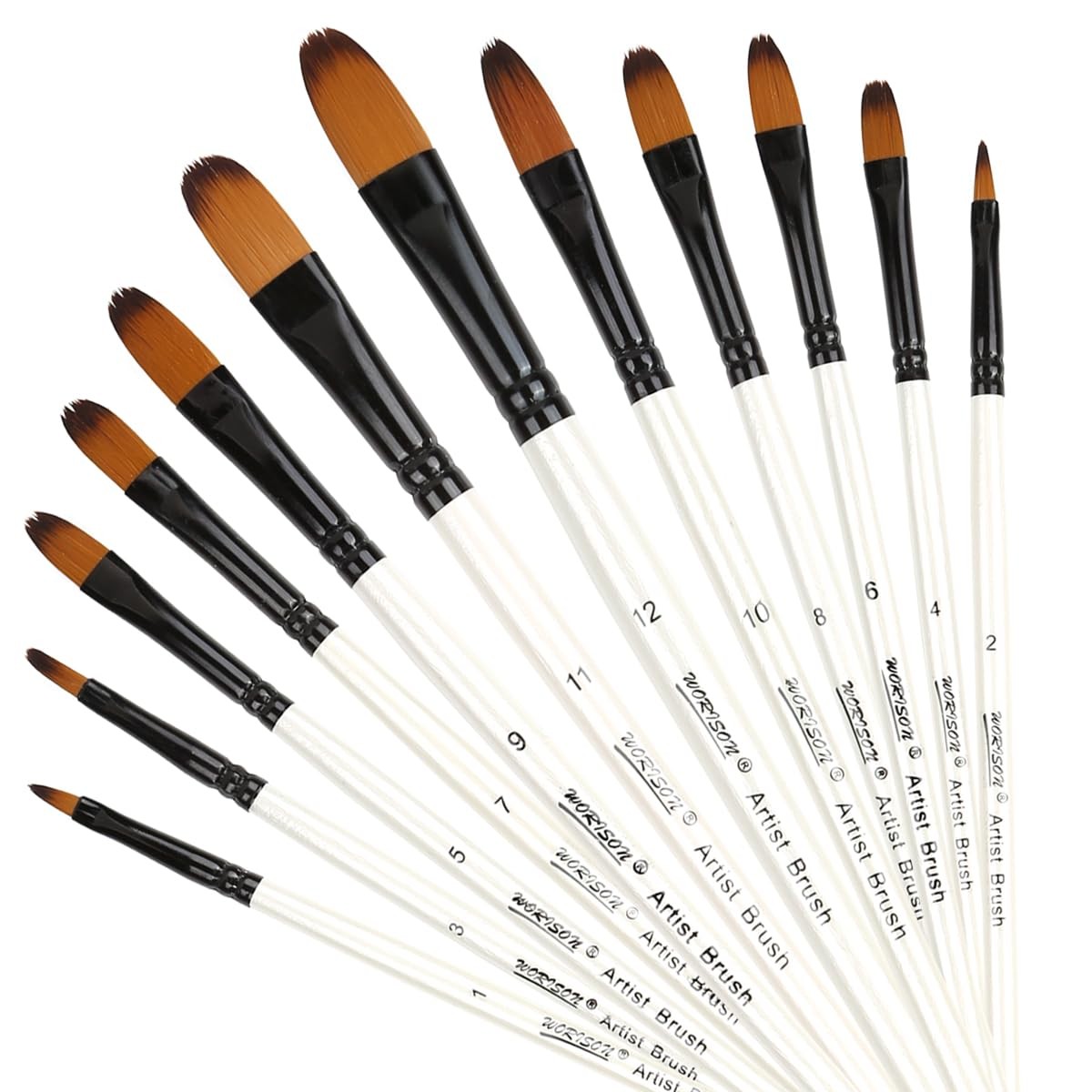 Dainayw 12 PCS Filbert Paint Brushes Set, Artist 1# To 12#, White