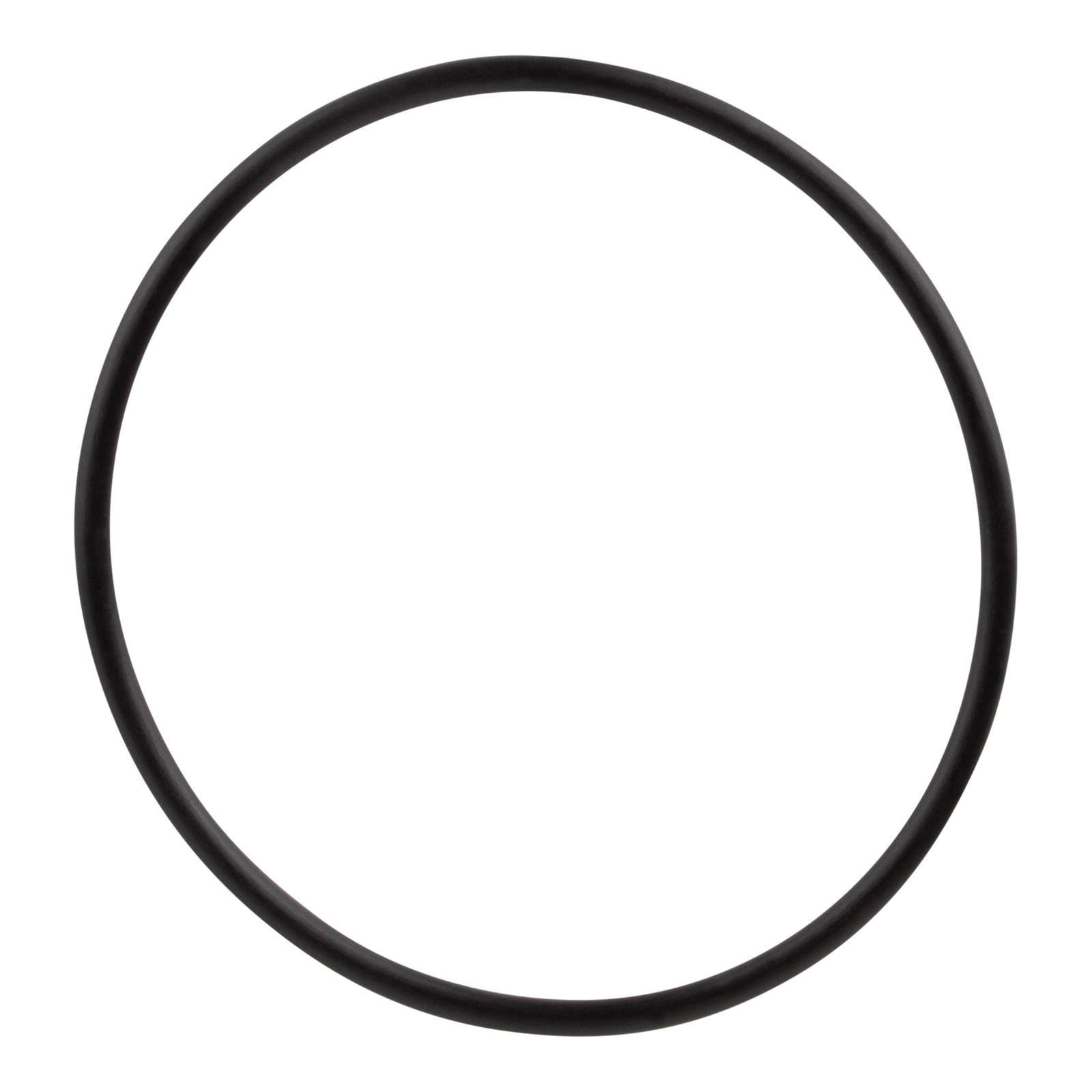 Amiad 1 1/2" Tagline Filter Lid O-ring Seal