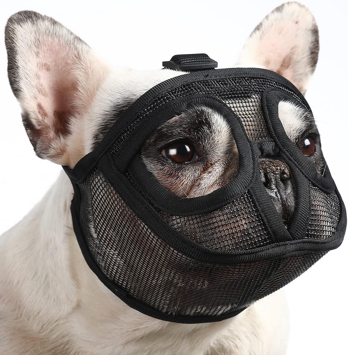 BARKLESS Short Snout Dog Muzzle, XXS (Head 8.5-12.5''), Black