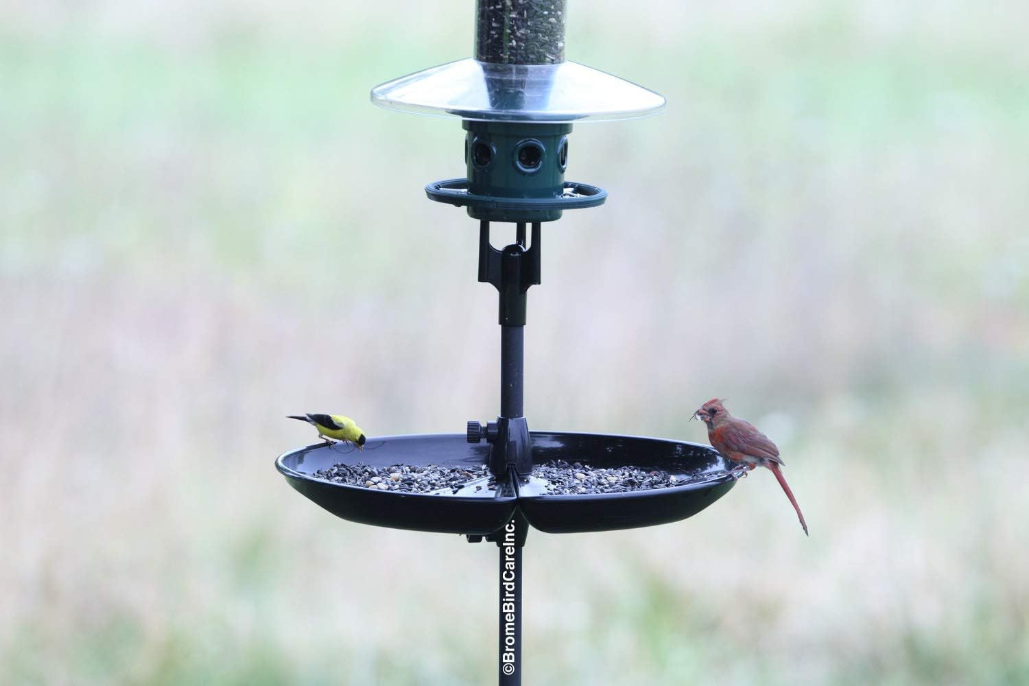 Seed Buster Seed Catcher Tray - REQUIRES a Birdsup Single Pole