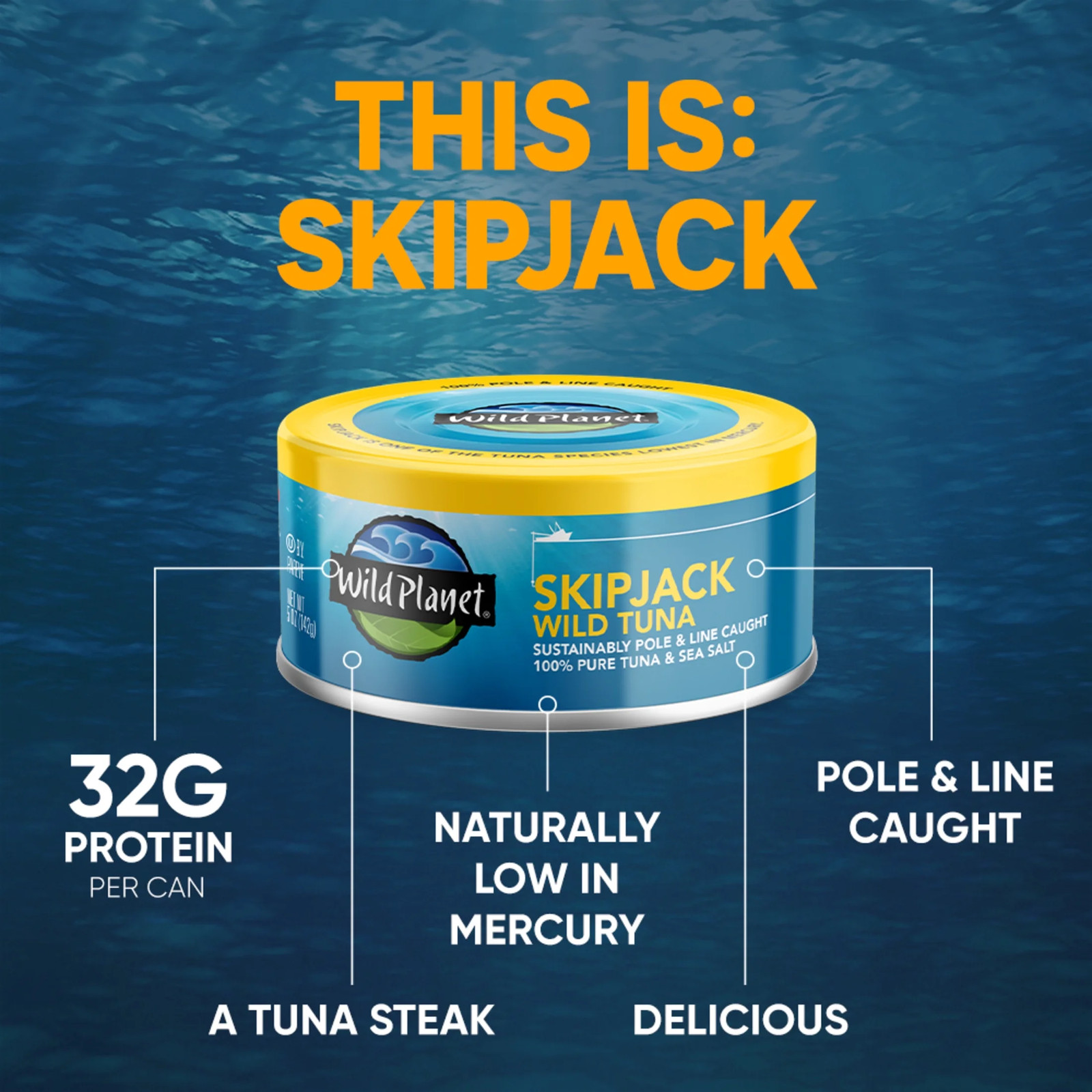 (4 pack) Wild Planet Skip Jack Wild Tuna 5 oz