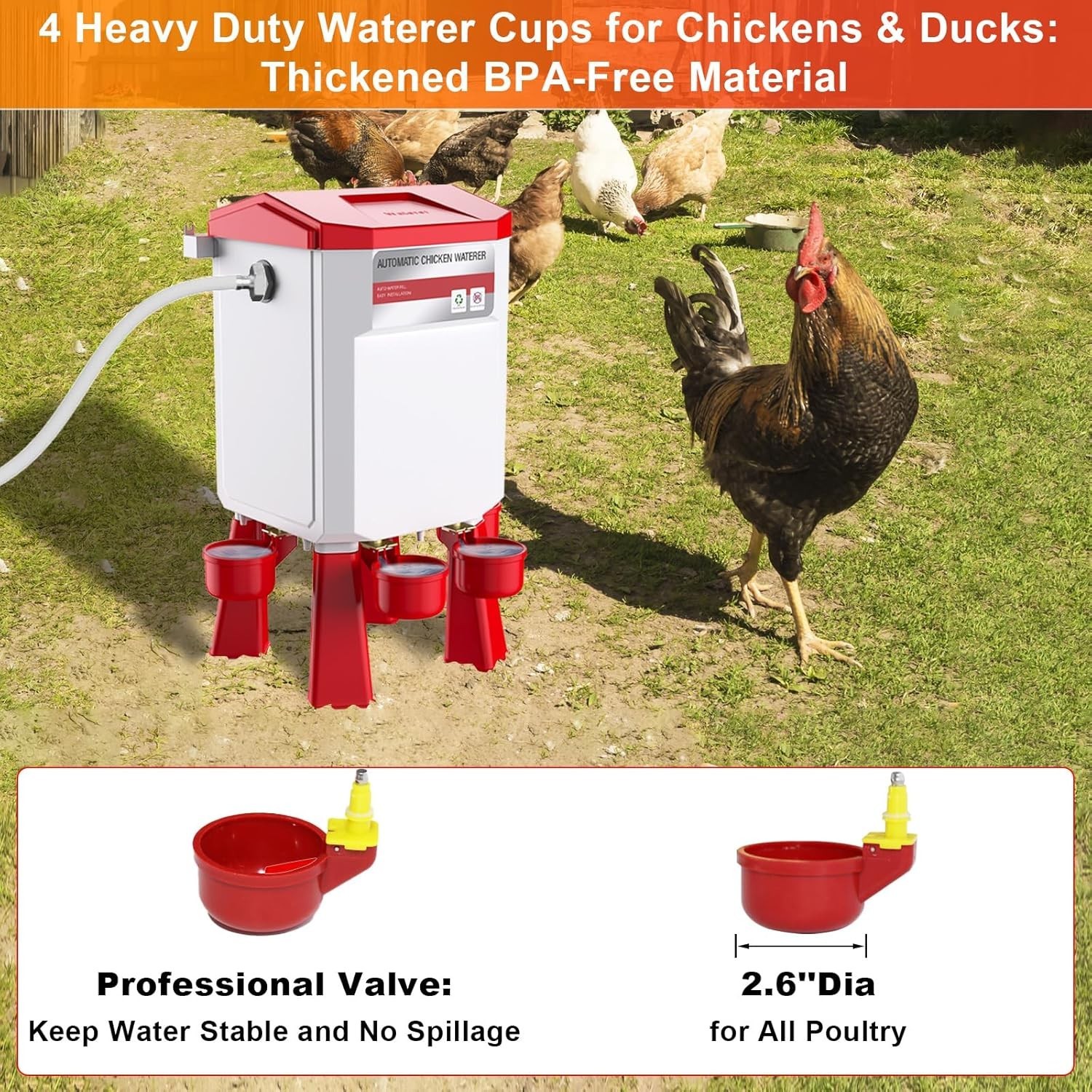 Automatic Chicken Waterer Large Chicken Waterer System Pou USA