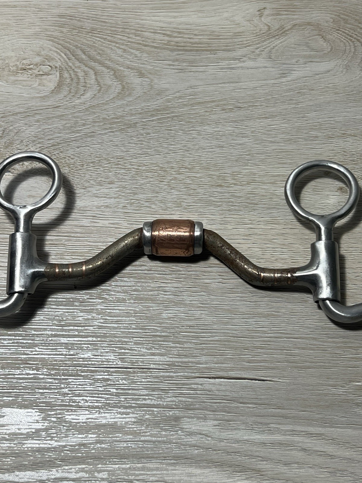 Francois Gauthier Futurity Western Horse Bit Ported Jointed S Shank Tack