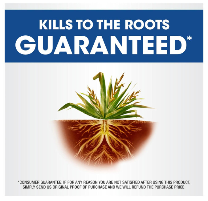 Roundup Concentrate Weed Killer - Trees, Driveways, Walkways 1.25 Gallons