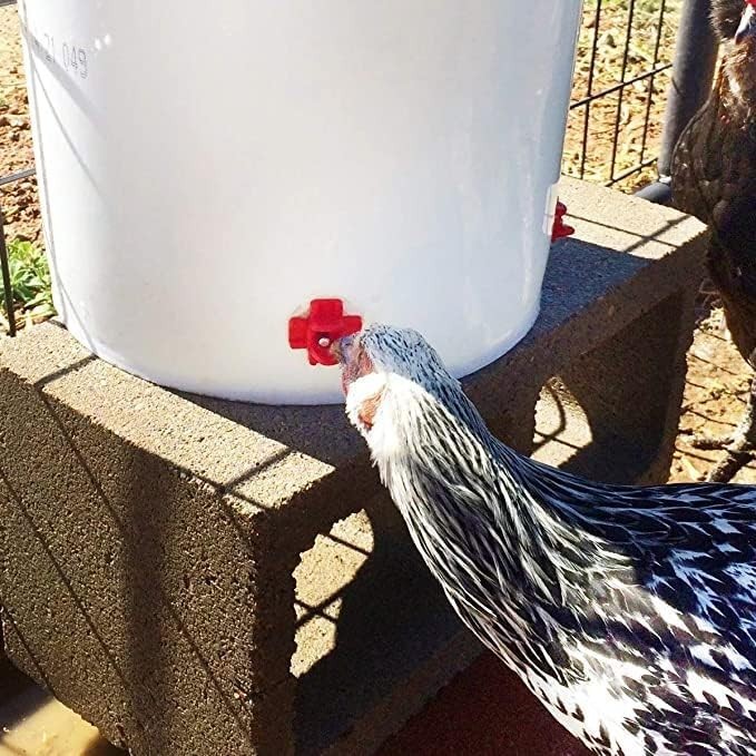 20 Pack Chicken Waterer Nipples Easy Install Leakproof Poultry Watering System