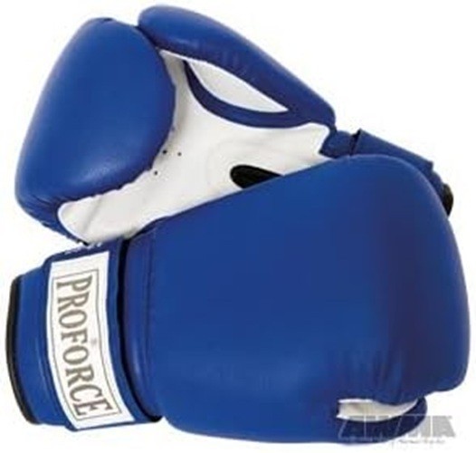 Pro Force Leatherette Boxing Gloves, #8113, 16 oz.