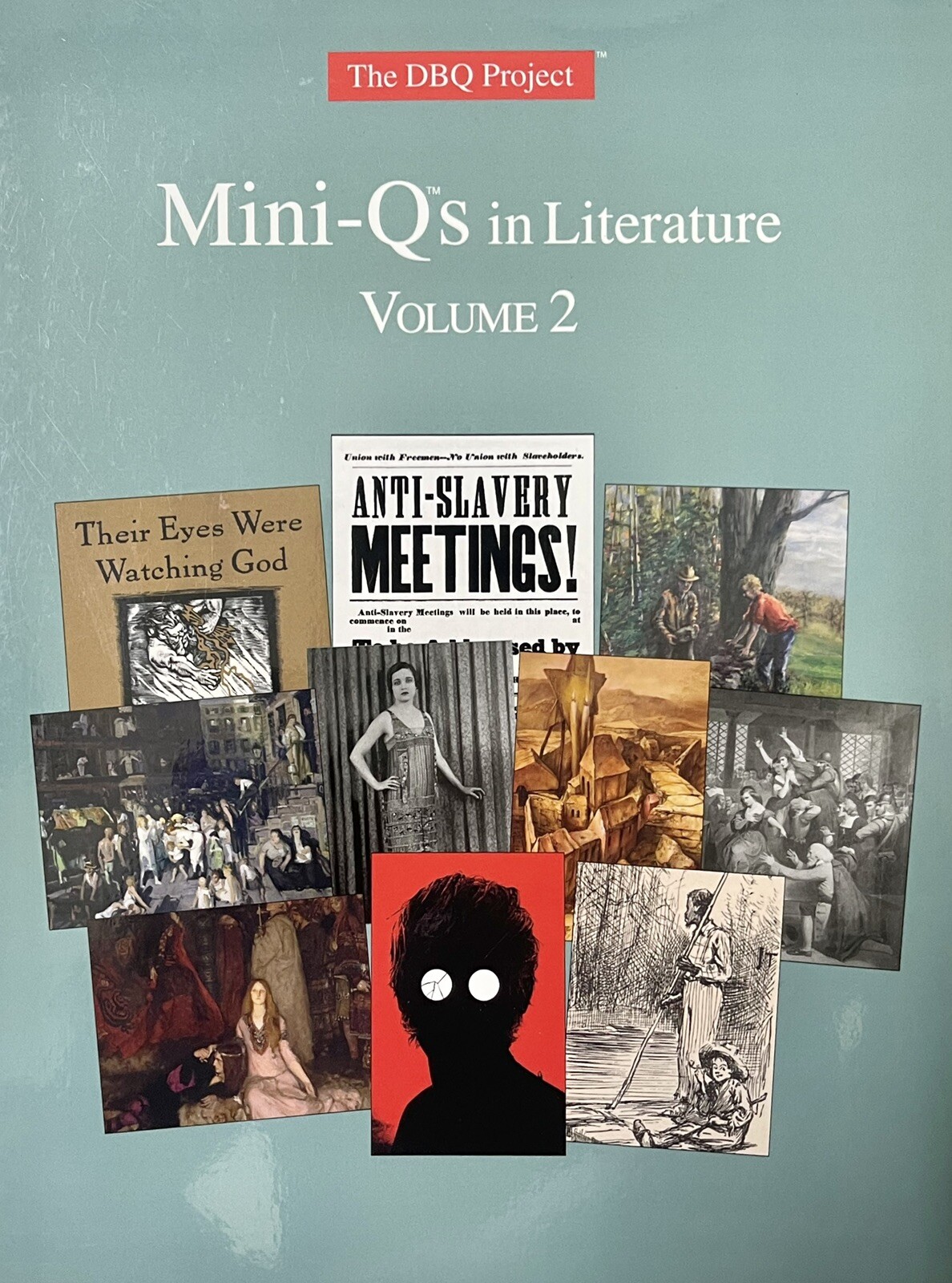 The DBQ Project Mini-Qs in Literature  Volume 2 Ten High-Interest Units of Study