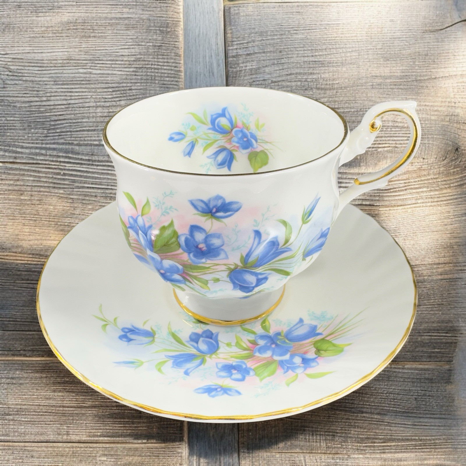 Queens Rosina China Co Blue Flowers Teacup Saucer Set Porcelain Vintage England