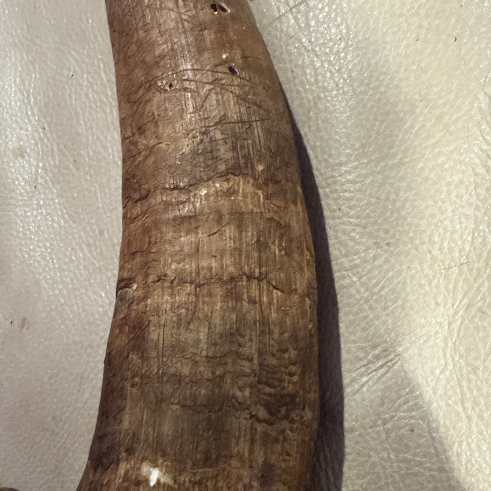 Vintage Powder Horn