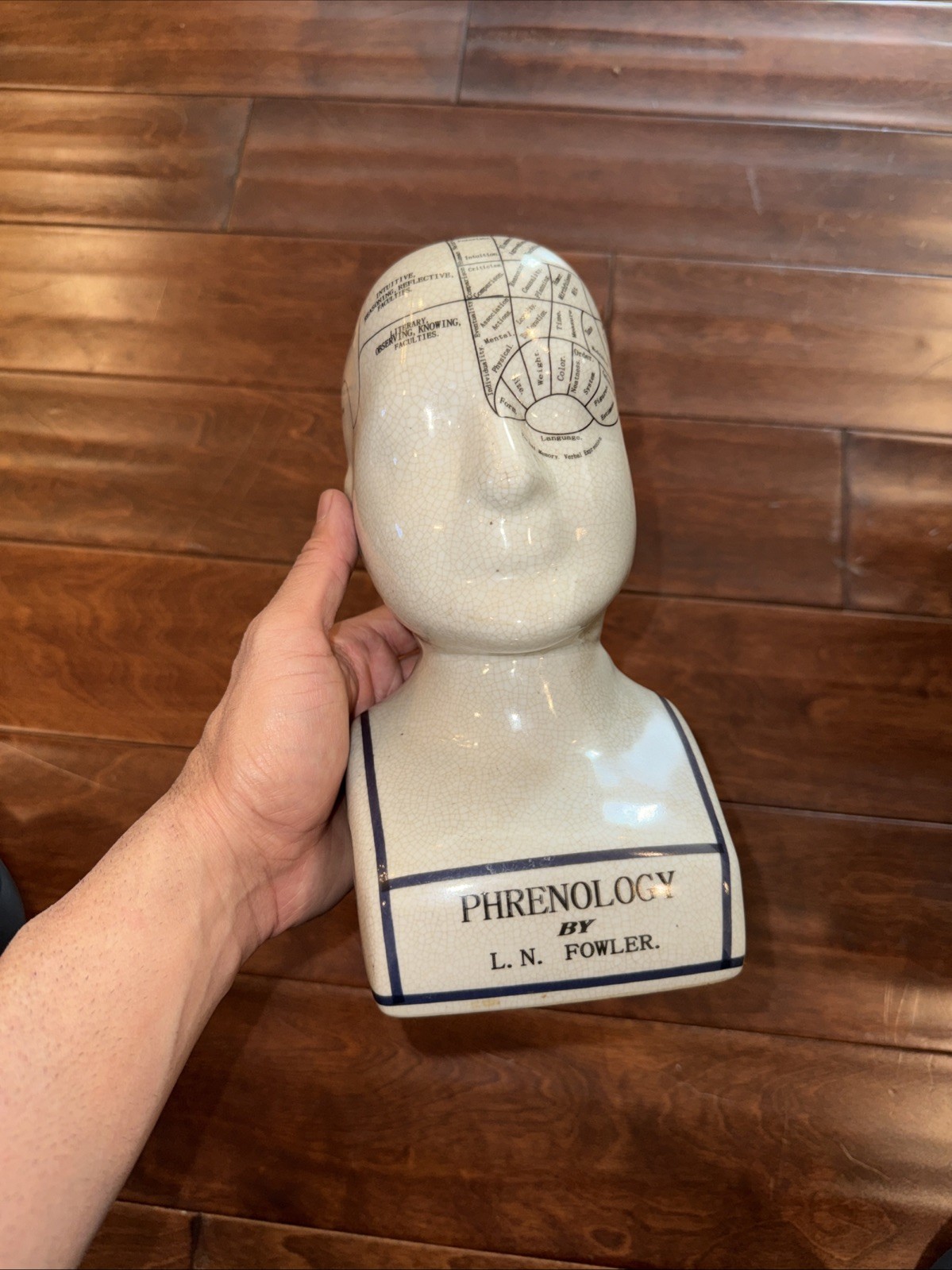 Porcelain L.N. Fowler Phrenology Scientific Psychology 9" Bust Head London  Z2