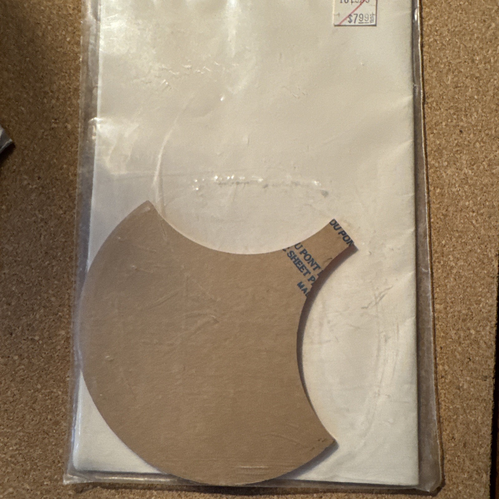 Shell pattern and template by Charlene Jorgensen
