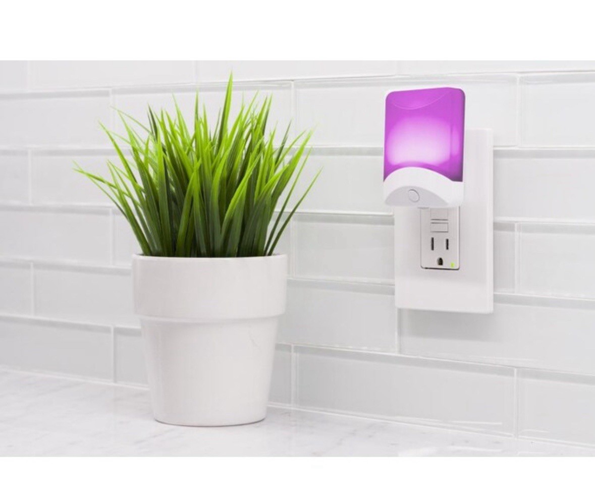 (4) ENBRIGHTENWhite LED Auto On/ Off Night Light