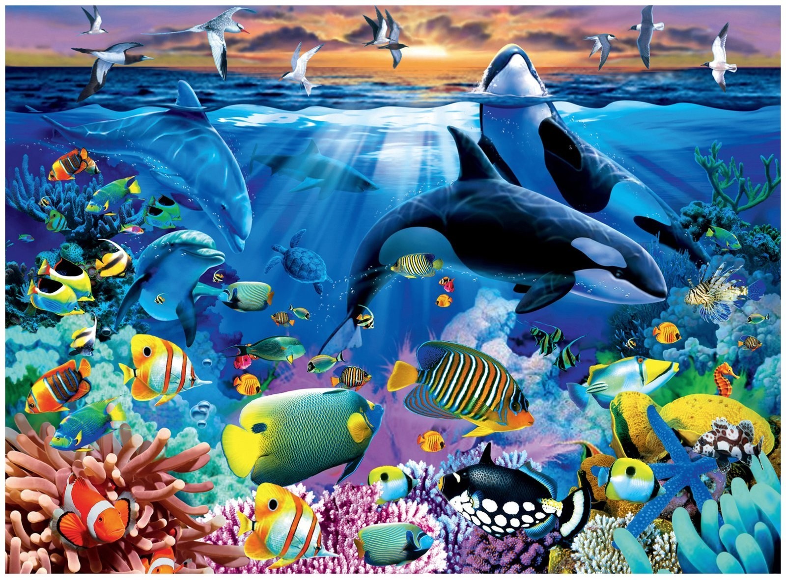 TROPICAL FISH DOLPHINS OR CA KILLER  WHALES  COMPUTER MOUSE PAD 9 X 7