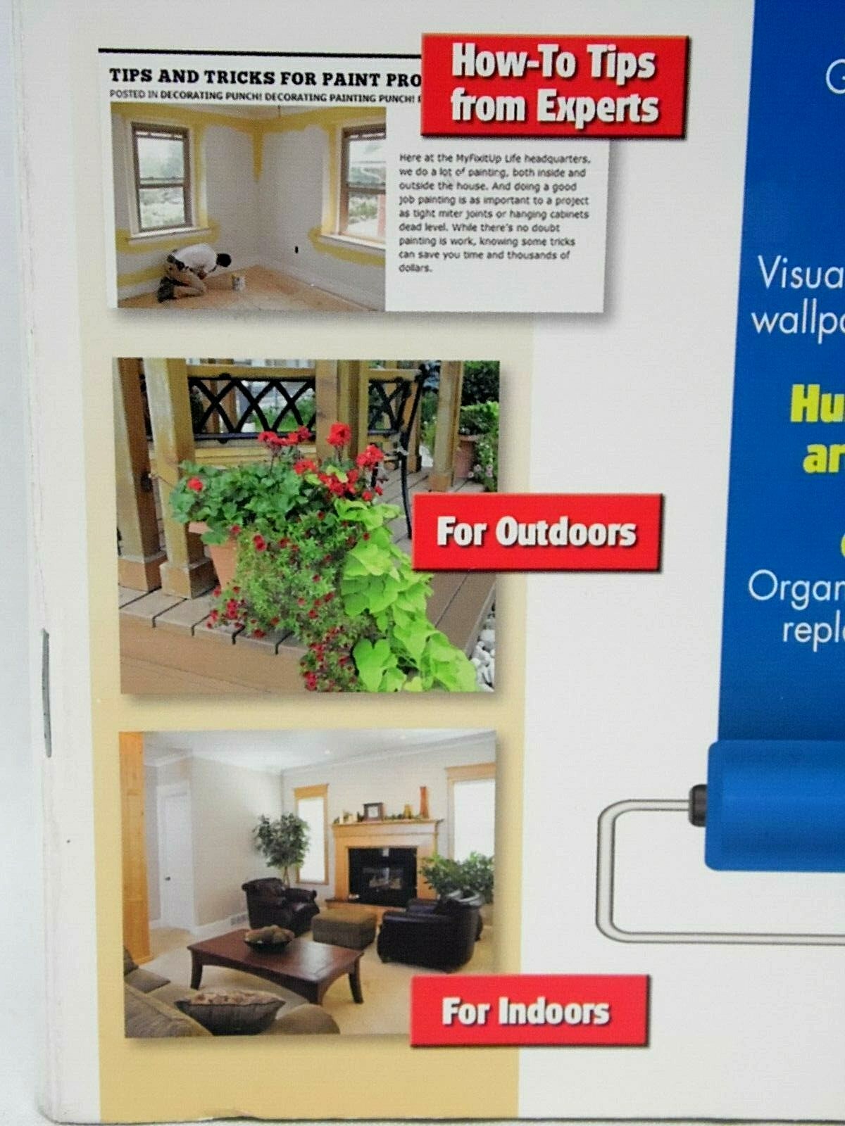 Punch! Weekend Projects PC Software Home Improvement