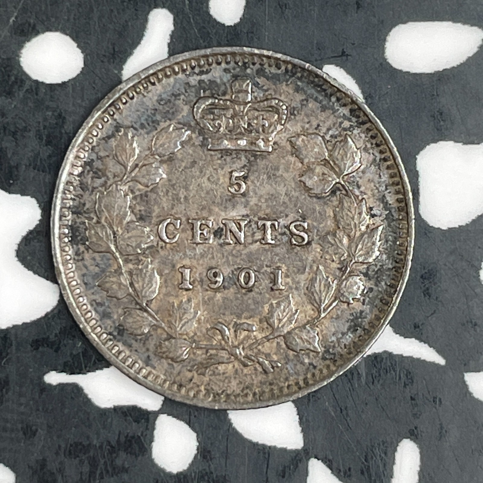 1901 Canada 5 Cents Lot#F6824 Silver! Nice!