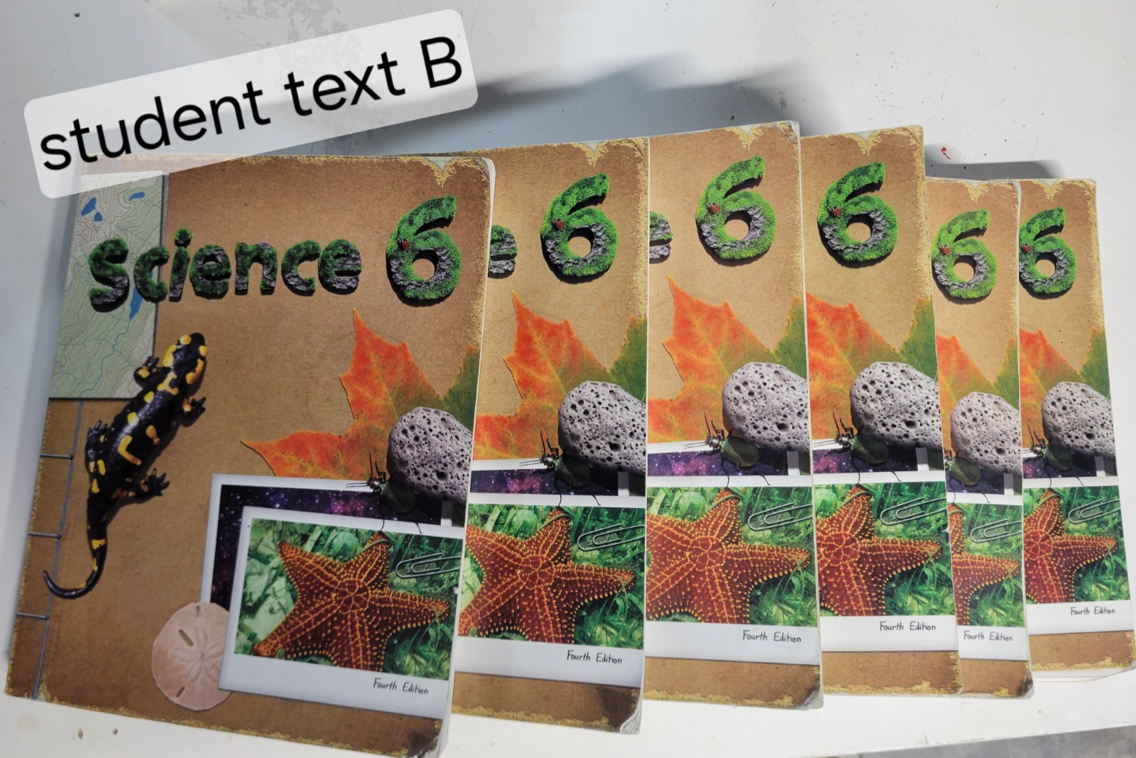 BJU Science 6 4th Edition Curriculum