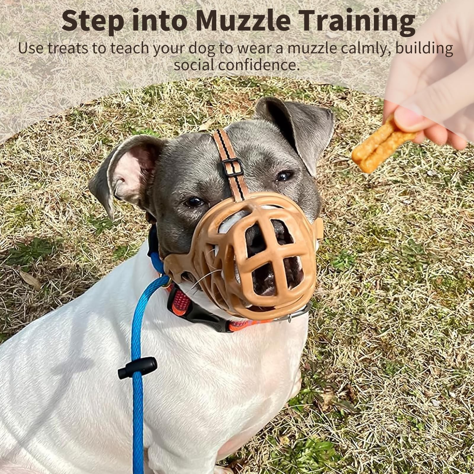 Dog Muzzle, Breathable Basket Muzzles for Small, Medium, Large and X-Large Ag...