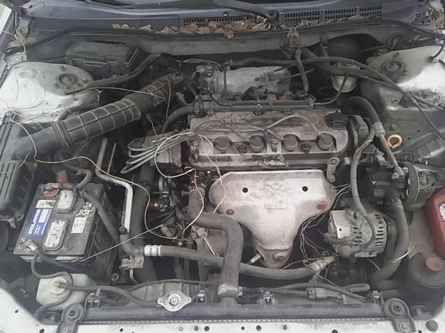 ACCORD 1999 Glove Box 19025