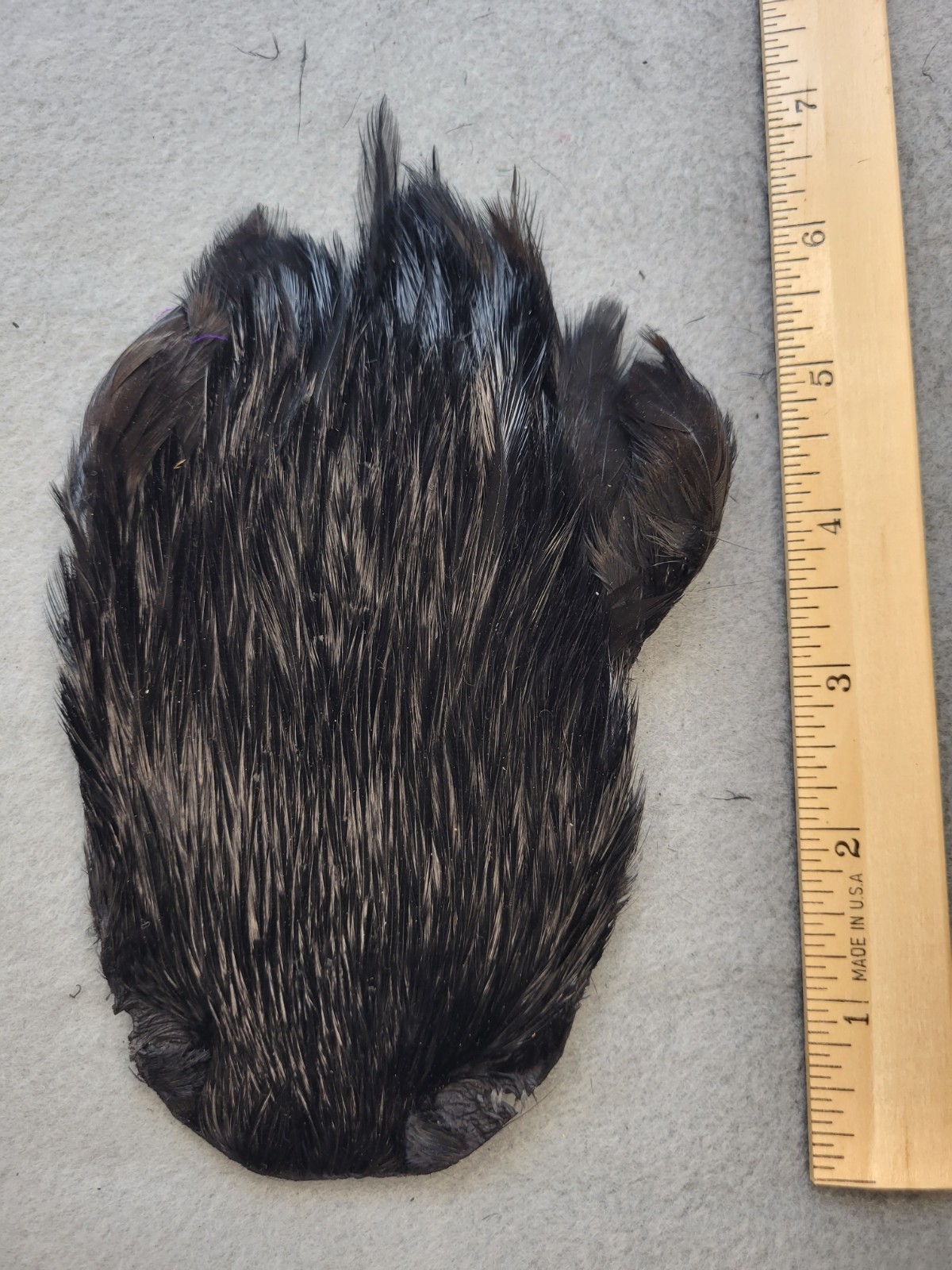 Lot 176,  Grade B,  DYED BLACK India Rooster Streamer Neck Cape Feathers