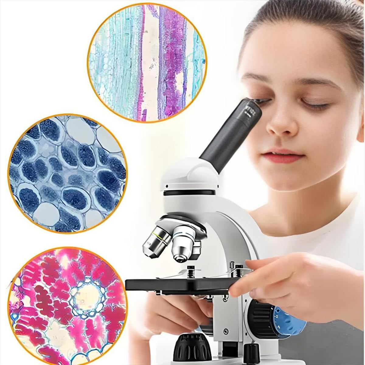 Microscope Slides and Covers – 50 Blank Glass Slides for Microscope with 100 ...