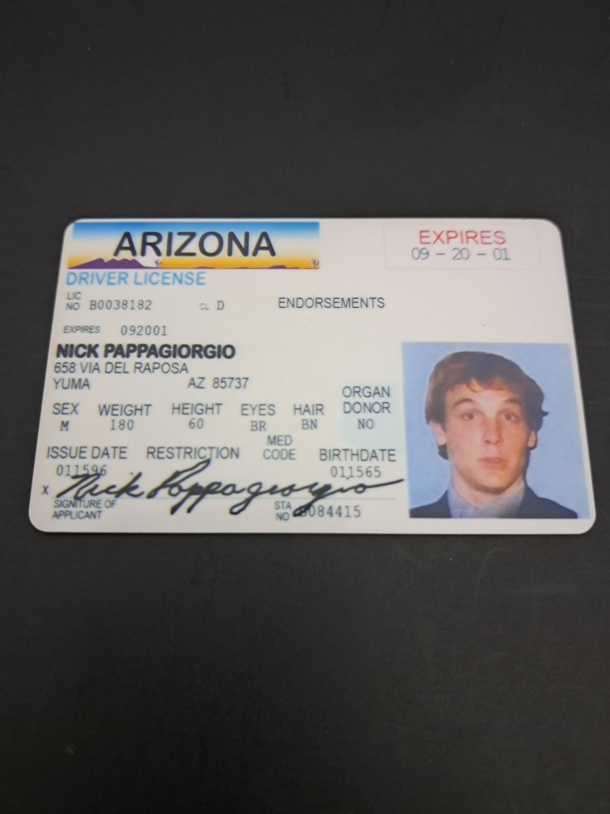 Nick Pappagiorgio National Lampoon Vegas Vacation Movie -  Novelty ID License