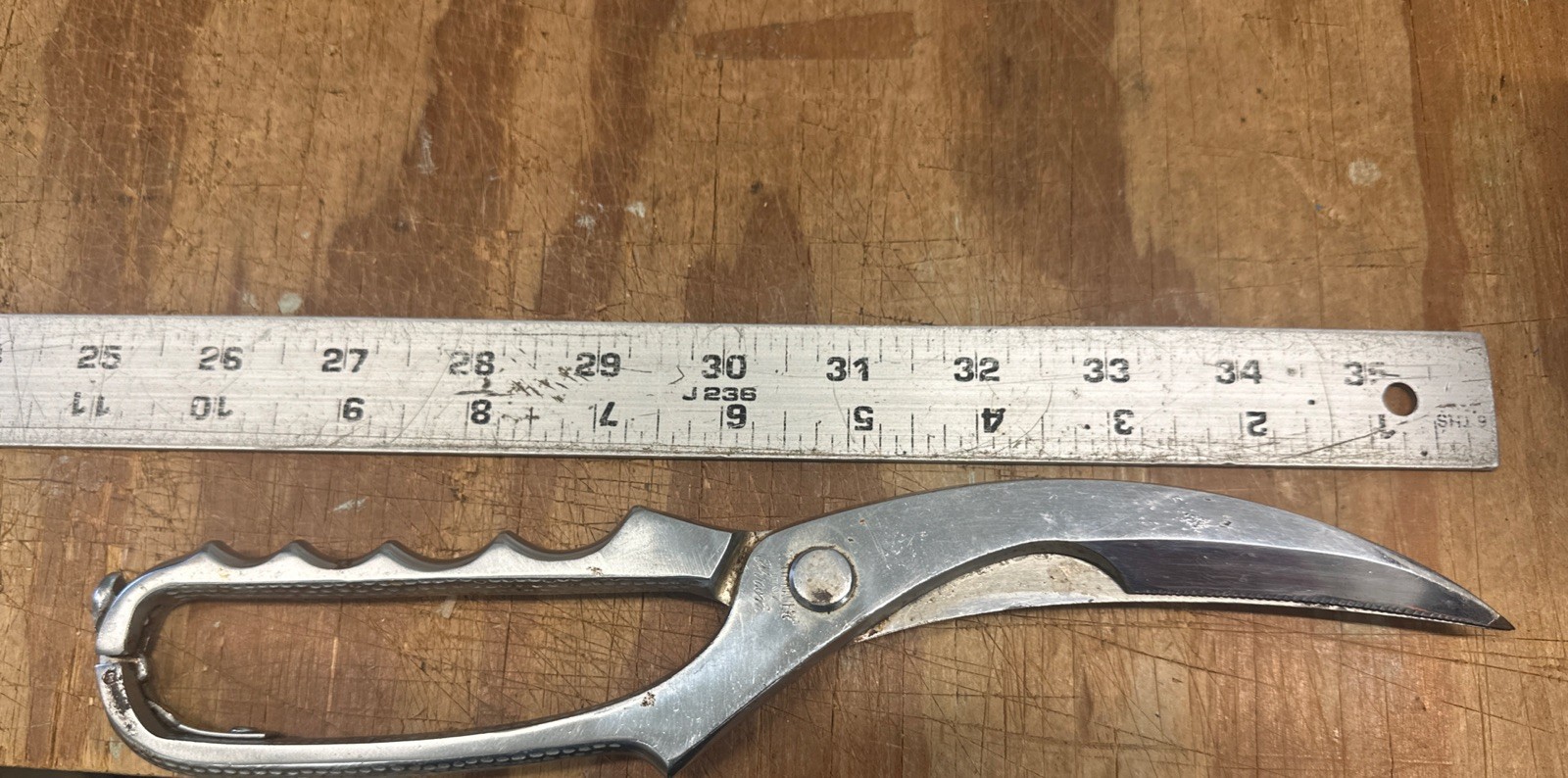 Thurnauer Poultry/Meat Shears Chrome Italy-Read